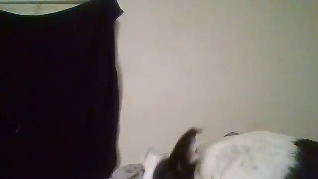 rosequartz online show from January 14, 2026, 4:05 am