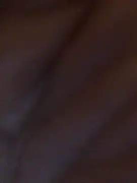 Inseminator69 online show from December 14, 2024, 11:07 am