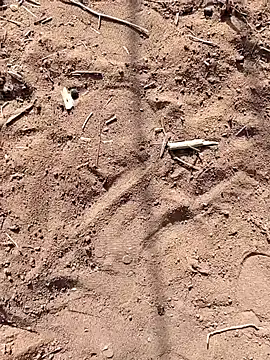 Snapshot of paugrande453 chatting on September 24, 2025, 10:55 am paugrande453 online show from September 24, 2025, 10:55 am