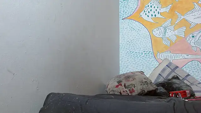 Party trans online show from February 14, 2025, 3:22 am