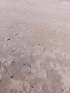 1010SumiT online show from November 1, 2025, 5:14 am