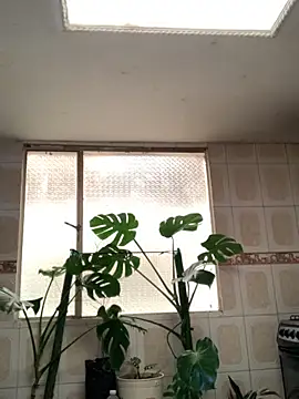 Miss oliviaa online show from November 11, 2025, 1:06 pm