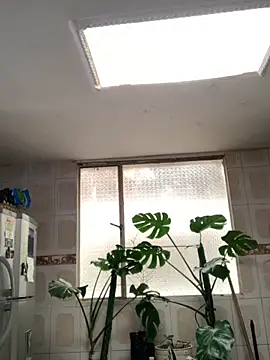 Miss oliviaa online show from November 26, 2025, 5:13 pm