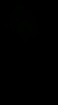 pelarrico12 online show from January 1, 2025, 5:01 am