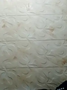 luchoarr online show from November 2, 2025, 3:33 am