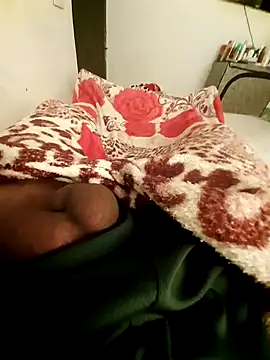 Snapshot of bengala223 chatting on January 28, 2025, 11:49 am bengala223 online show from January 28, 2025, 11:49 am