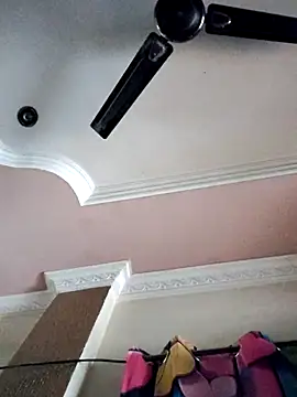 Snapshot of Bangarupapa chatting on October 26, 2025, 8:04 am Bangarupapa online show from October 26, 2025, 8:04 am