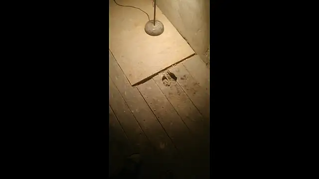 Bdsmslavebi online show from March 23, 2026, 2:33 am