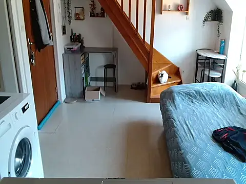 Lauzo21 online show from March 27, 2026, 6:33 am