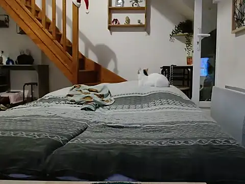 Lauzo21 online show from December 5, 2025, 6:34 am