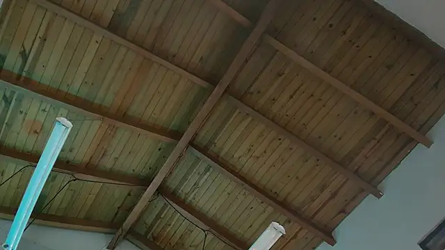 Venusflame   online show from November 29, 2025, 12:05 pm