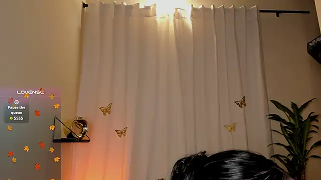 Kaaiiri online show from December 17, 2025, 12:54 pm