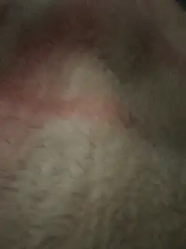 Juliano69xv online show from December 19, 2025, 2:19 pm