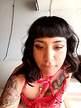 beabeaaok online show from December 5, 2024, 8:17 pm