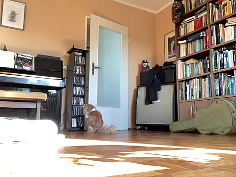 Bula94193 online show from March 16, 2026, 9:13 am