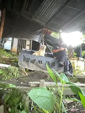 Snapshot of Jestebanano chatting on March 16, 2026, 12:20 pm Jestebanano online show from March 16, 2026, 12:20 pm