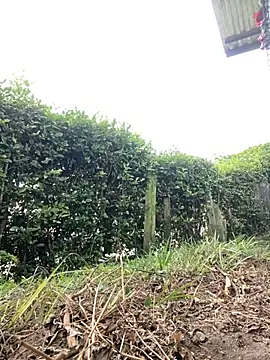 Jestebanano online show from November 29, 2025, 3:12 pm