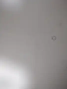 Snapshot of geilerschwanz64 chatting on October 25, 2025, 8:20 pm geilerschwanz64 online show from October 25, 2025, 8:20 pm