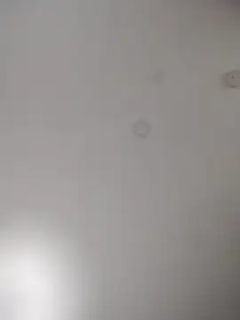 Snapshot of geilerschwanz64 chatting on October 28, 2025, 9:30 am geilerschwanz64 online show from October 28, 2025, 9:30 am