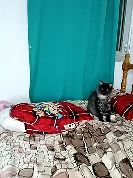 sama0012 online show from February 19, 2025, 11:14 pm