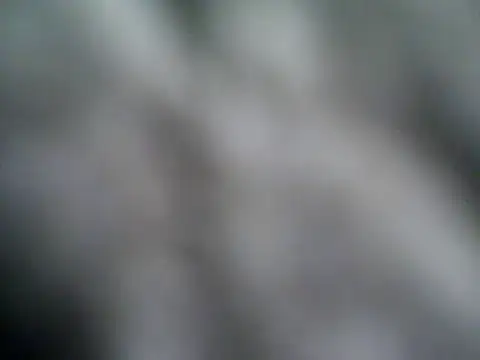 rootsf online show from November 3, 2025, 3:23 am