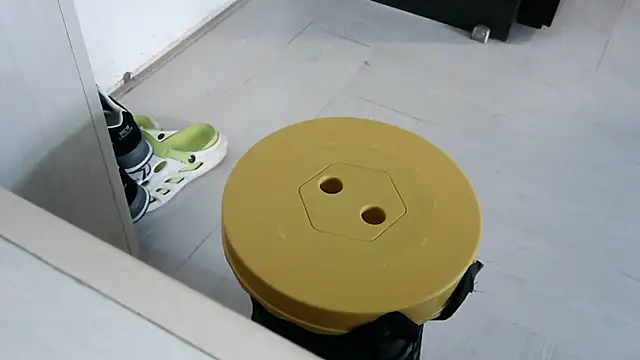 Snapshot of XiaoGuoGuo284512 chatting on January 20, 2025, 4:54 am XiaoGuoGuo284512 online show from January 20, 2025, 4:54 am