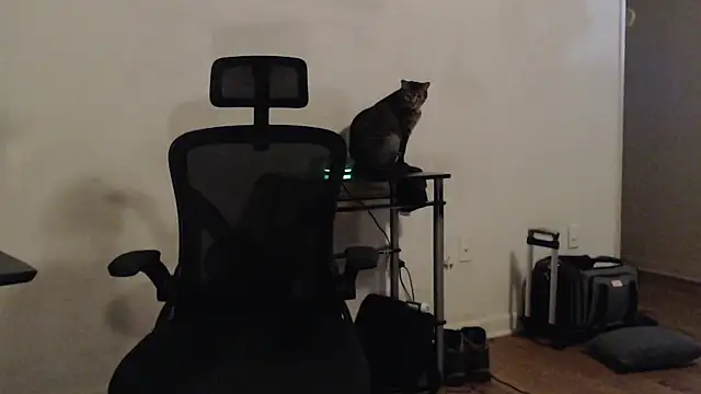 Pilot Dave 69 online show from January 18, 2025, 11:21 am