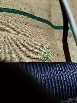 Snapshot of Kolkataboiy chatting on October 21, 2025, 9:47 pm Kolkataboiy online show from October 21, 2025, 9:47 pm