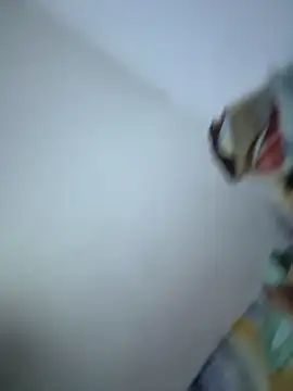 Snapshot of SweetBonniie chatting on November 3, 2025, 12:05 am SweetBonniie online show from November 3, 2025, 12:05 am