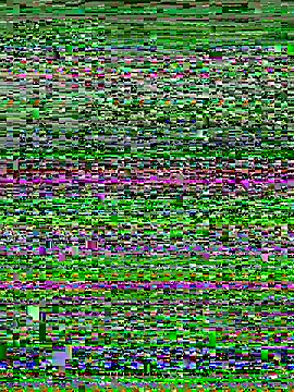 Snapshot of Curveysinaa chatting on November 4, 2025, 5:44 am Curveysinaa online show from November 4, 2025, 5:44 am