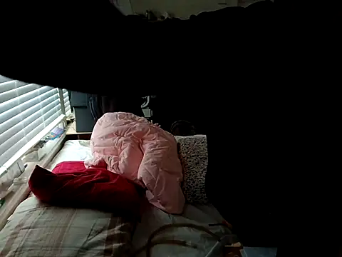 Snapshot of DevinToore chatting on October 20, 2025, 8:42 pm DevinToore online show from October 20, 2025, 8:42 pm