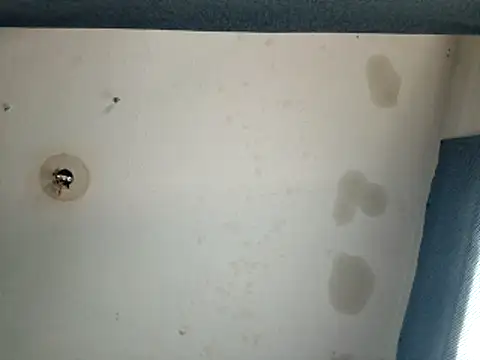 Snapshot of DevinToore chatting on October 17, 2025, 9:49 pm DevinToore online show from October 17, 2025, 9:49 pm