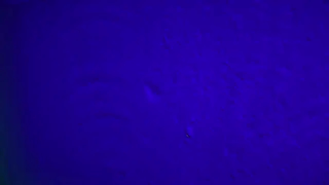 GymBoyVan online show from February 4, 2026, 4:07 am