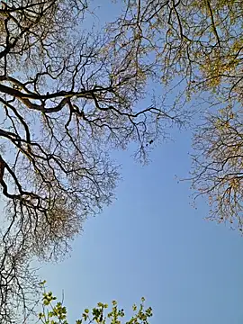 nataliecdlive online show from April 8, 2026, 5:47 pm