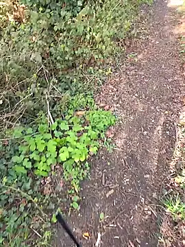 nataliecdlive online show from March 14, 2026, 2:12 pm