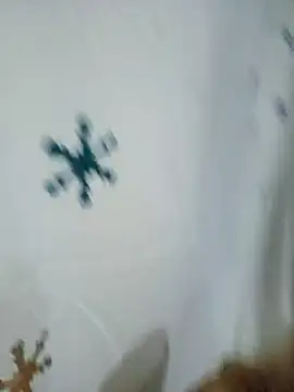 sadnessgyall online show from February 4, 2025, 6:14 am