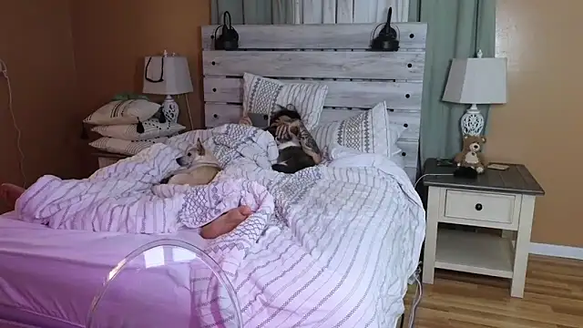 Snapshot of TexasTattooedHouseWife chatting on October 23, 2025, 5:50 am TexasTattooedHouseWife online show from October 23, 2025, 5:50 am