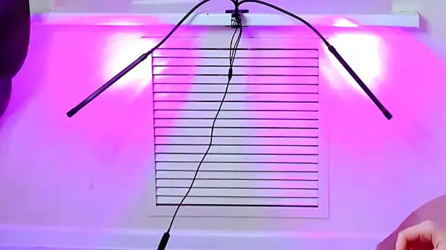 Snapshot of CarolGiggly chatting on November 16, 2025, 8:41 am CarolGiggly online show from November 16, 2025, 8:41 am