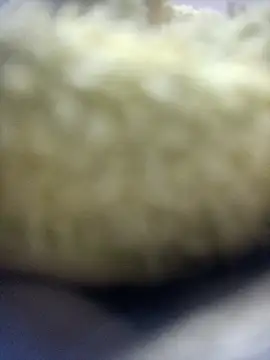 jeremiabello online show from April 11, 2026, 4:31 am