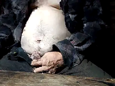 tus ordenes mis deseos online show from April 7, 2026, 4:58 am