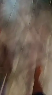 Snapshot of 1995eduardo chatting on February 21, 2025, 1:22 pm 1995eduardo online show from February 21, 2025, 1:22 pm