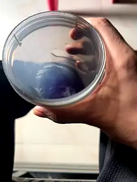 Snapshot of Privateseducer chatting on September 25, 2025, 3:34 am Privateseducer online show from September 25, 2025, 3:34 am