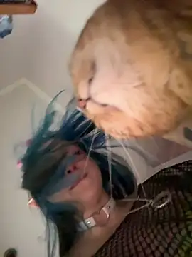 MaddisonHaas online show from October 28, 2025, 12:44 am