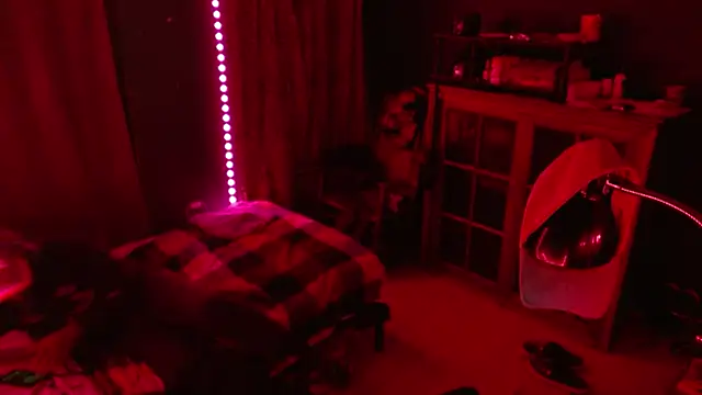        the online show from December 17, 2025, 10:20 am