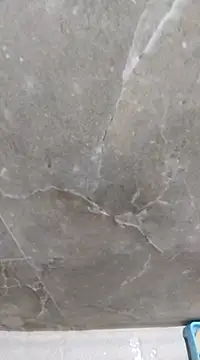 sudhastriper online show from February 13, 2025, 10:00 pm