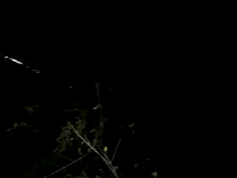 Backshort11 online show from November 4, 2025, 3:21 am