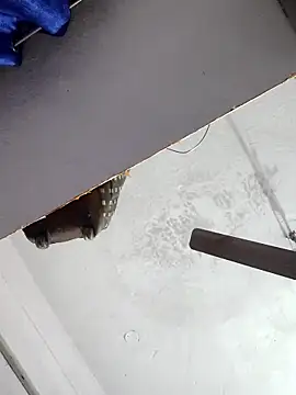 sana14 online show from December 17, 2025, 10:48 pm