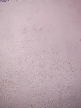 sana14 online show from January 15, 2026, 7:45 am