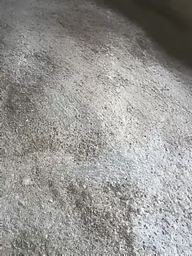 SisterlyFarmhand online show from October 12, 2025, 11:00 am