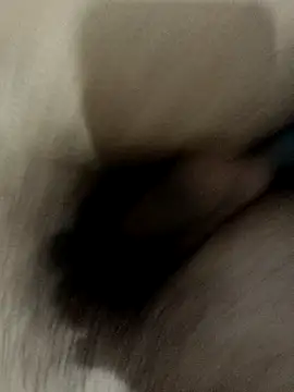 Snapshot of QUEEN-X-CPL chatting on September 23, 2025, 5:42 pm QUEEN-X-CPL online show from September 23, 2025, 5:42 pm